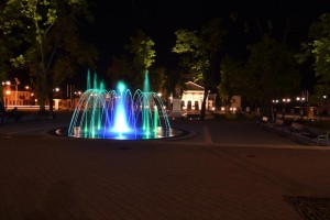 DSC_0315
