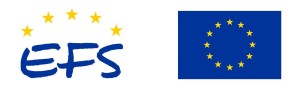 EFS