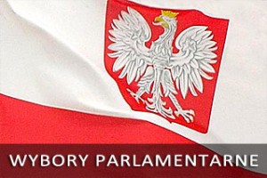 Wyniki wyborów parlamentarnych w gminie Kock