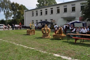 DSC_1136 (Copy)