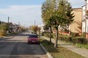 dsc_0248-copy