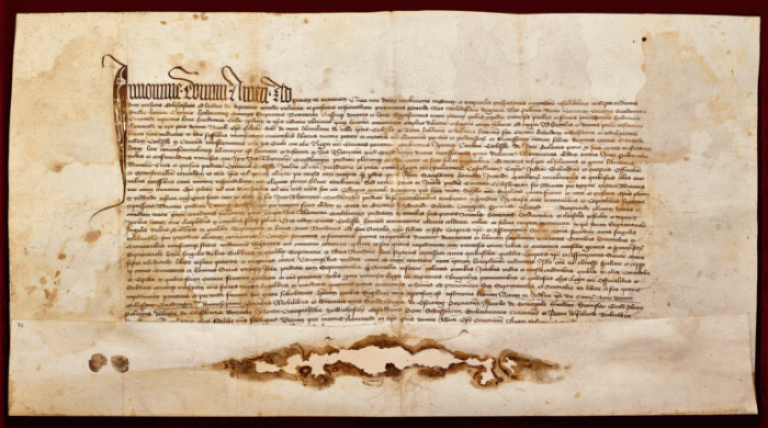 600 lat lokacji miasta Kock