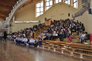 DSC_0111 (Copy)