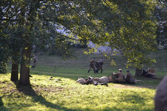 Rekonstrukcja epizodów Bitwy pod Kockiem i pokazy kawaleryjskie