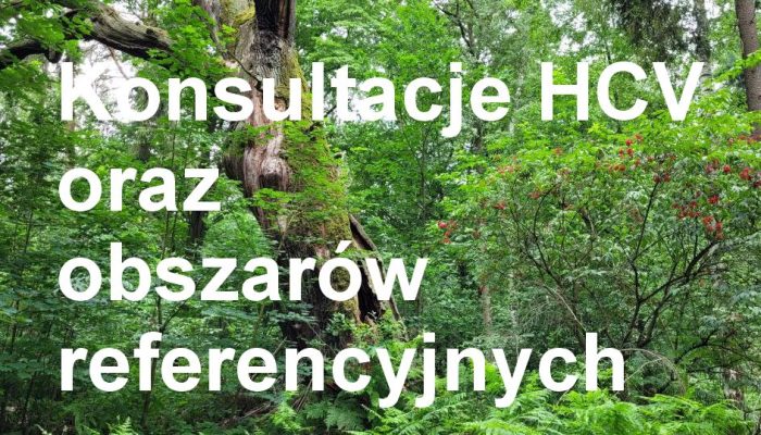Nadleśnictwo Radzyń Podlaski – konsultacje społeczne obszarów HCV oraz obszarów referencyjnych